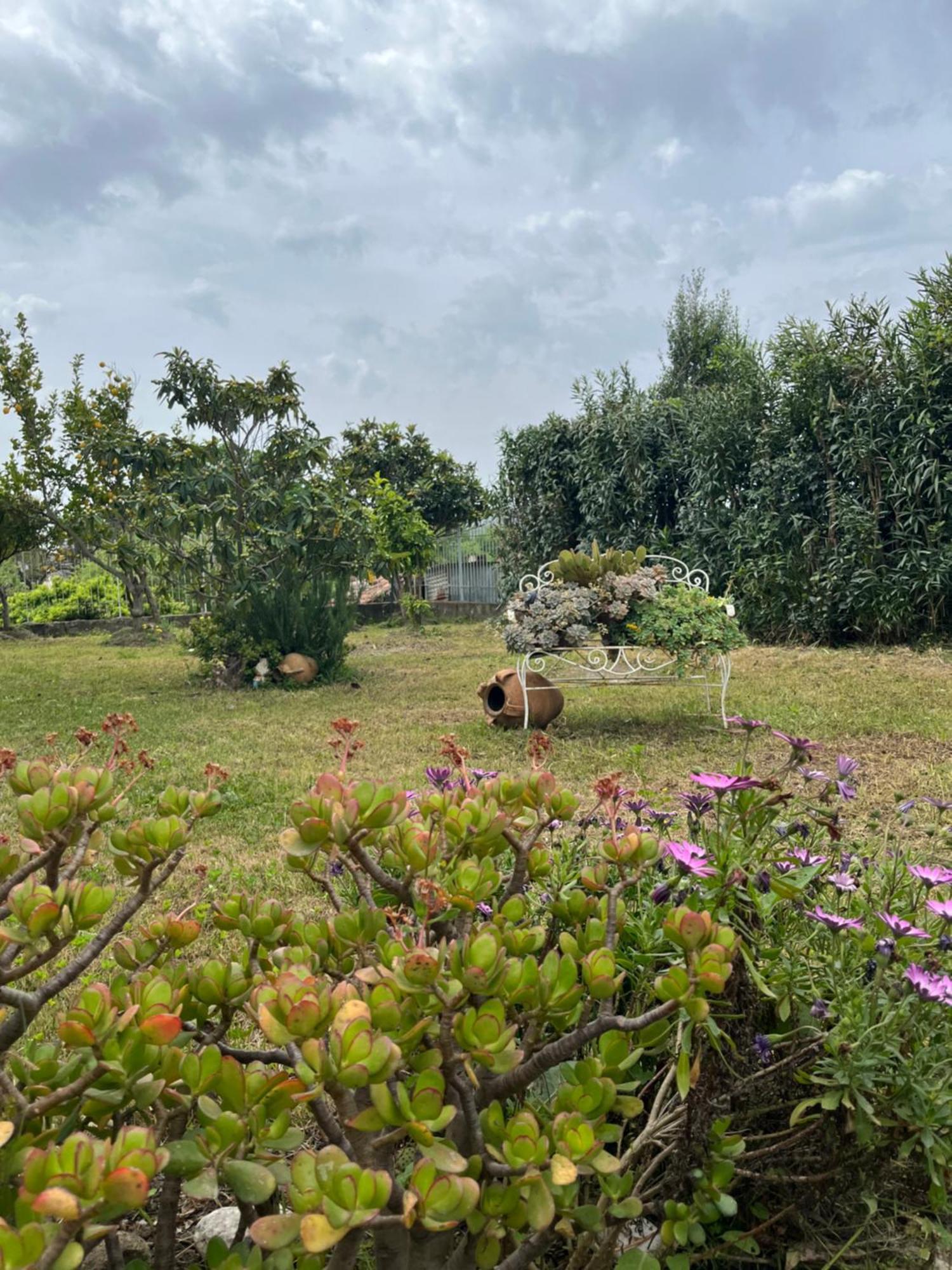 Villa Giardino Degli Oleandri Palinuro Exterior foto